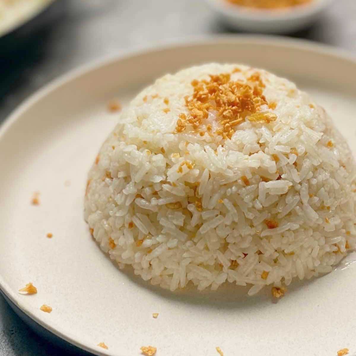 Extra Fried rice